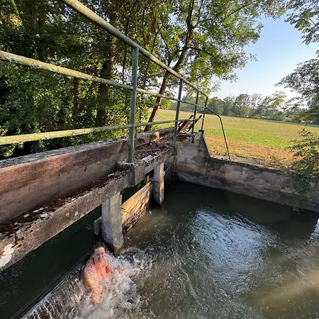 Σπίτι διακοπών Big Near Le Du Der Giffaumont-Champaubert